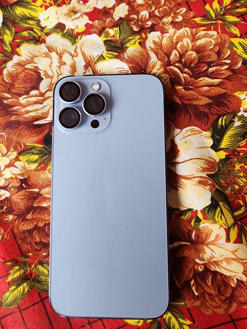 Apple iPhone 13 Pro Max 1