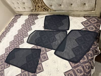 Magnetic curtains