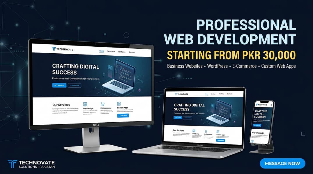 Professional Website Development Services 0