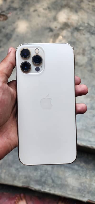 Apple iPhone 12 Pro Max