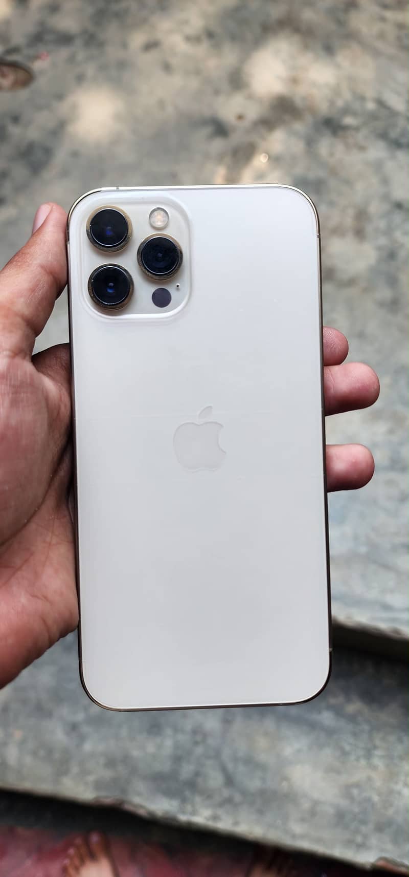 Apple iPhone 12 Pro Max 0