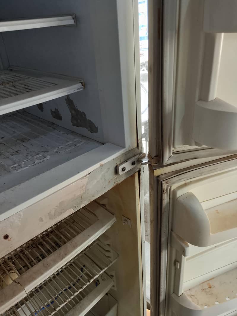pel Refrigerator 6