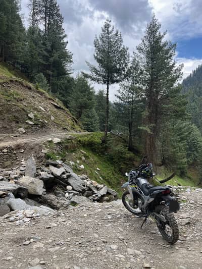 CFMOTO 230 Dual Sport Bike 2025 Model for Sale