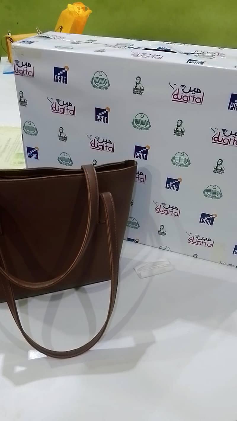 Handbag 1