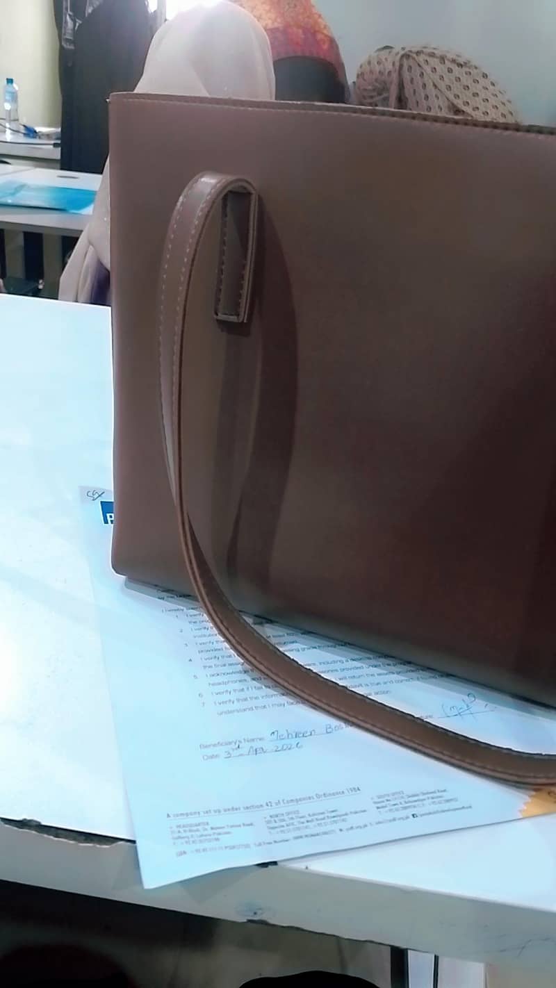 Handbag 2