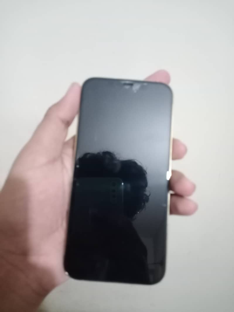 Apple iPhone 12 Pro Max 1