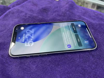 Apple iPhone 12 Pro Max
