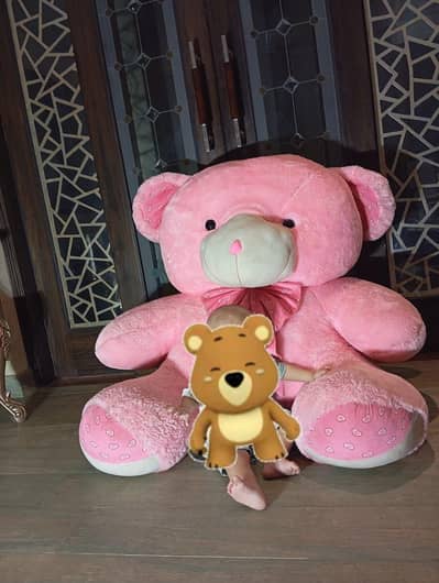 Beautiful Teddy bear