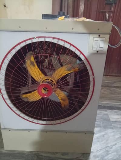 12 volt fast air cooler 10/9.5 condition