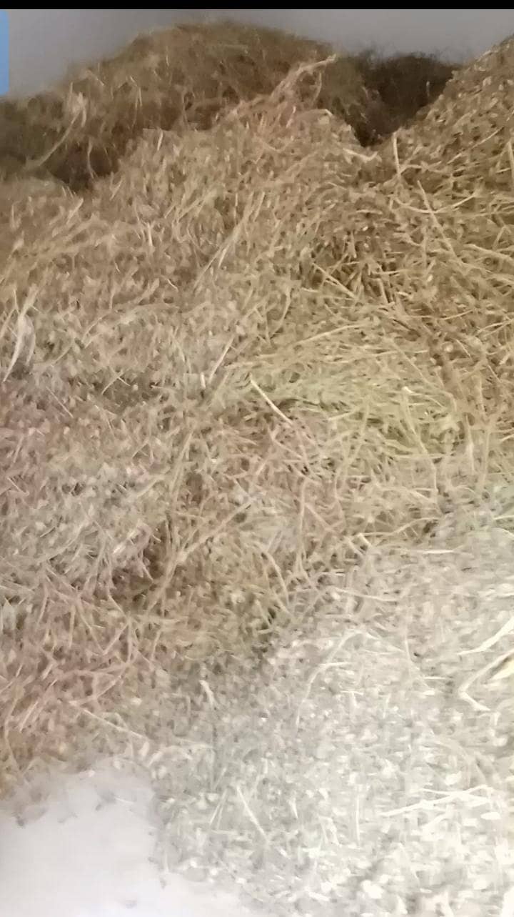 Peanut Silage 0