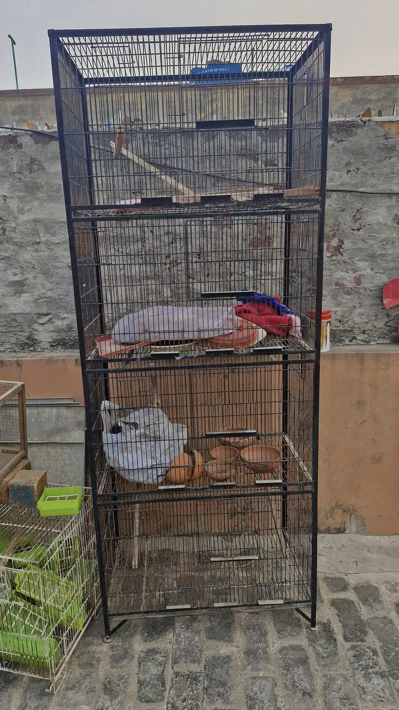 used iron cages for birds — photo 2