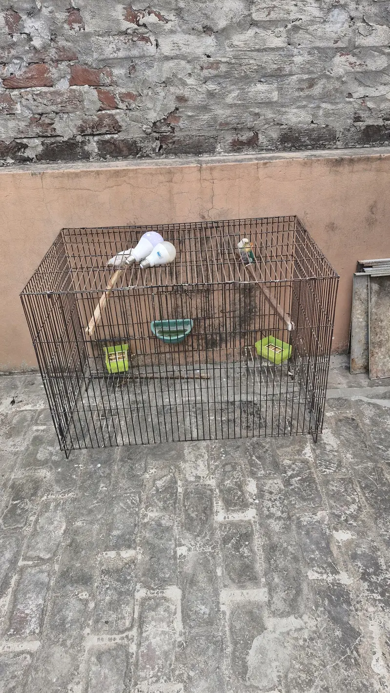 used iron cages for birds — photo 3