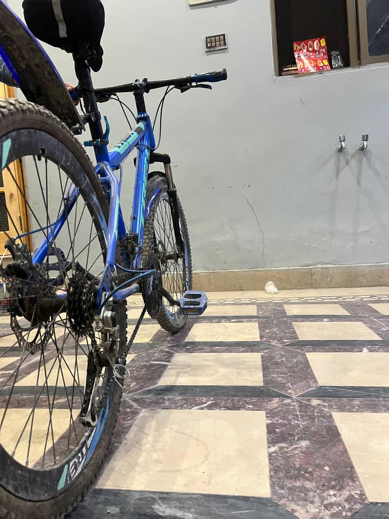 TREK BICYCLE 5