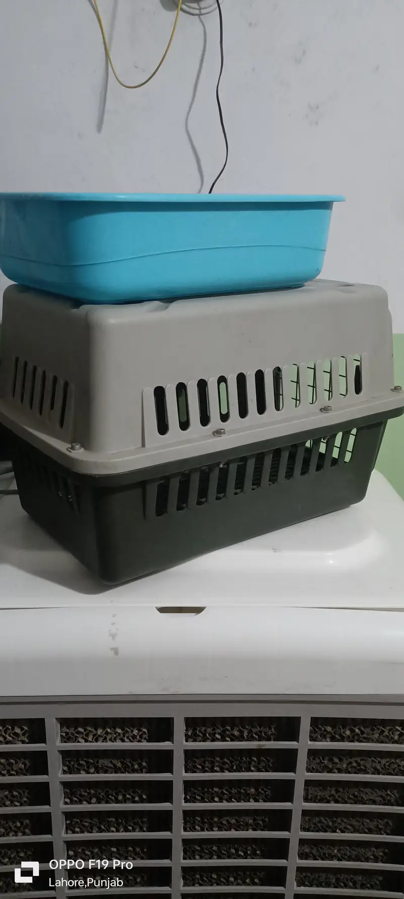 Pet Enclosures / House with Tab — photo 3