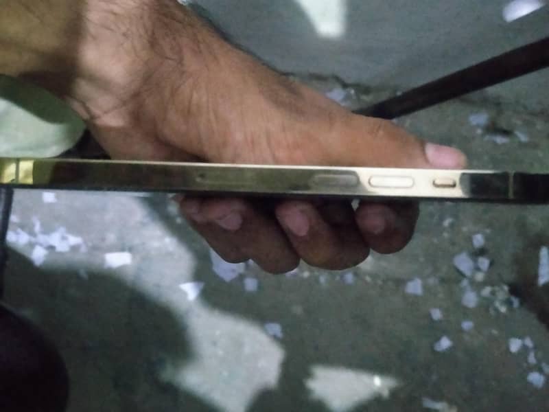 Apple iPhone 12 Pro Max 1