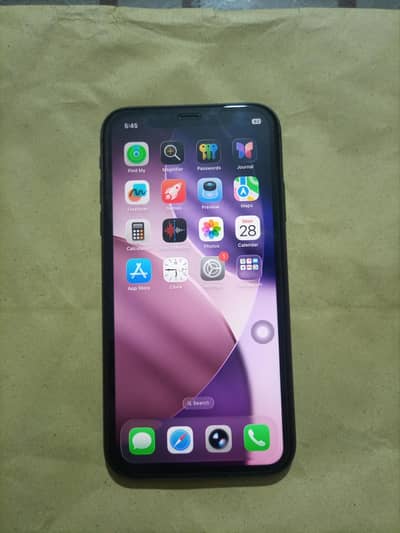 Apple iPhone 11