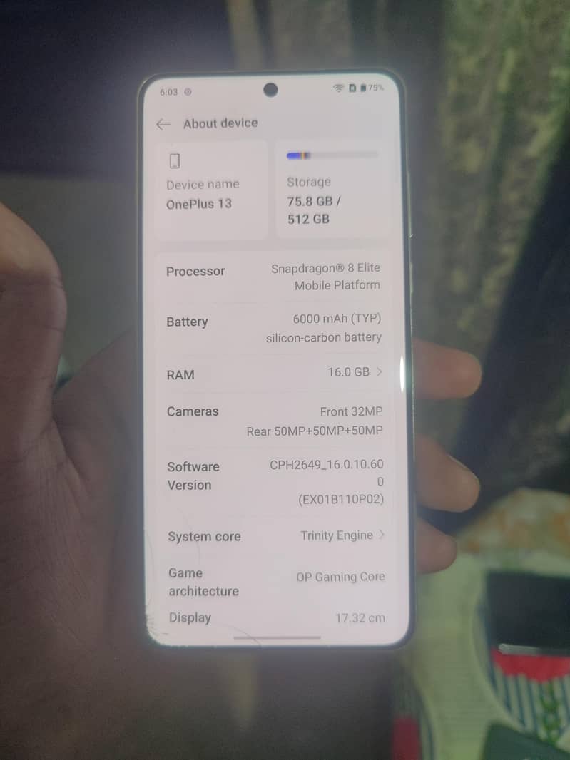 One Plus 13 9