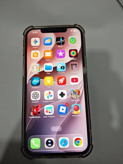 Apple iPhone 12 Pro Max