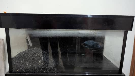 Aquarium