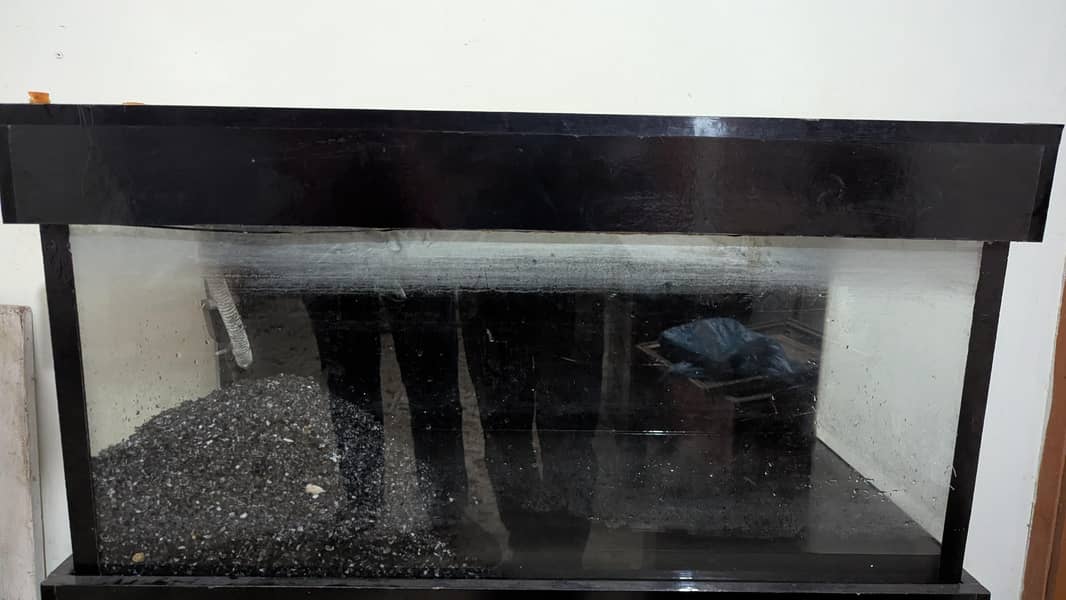 Aquarium 0
