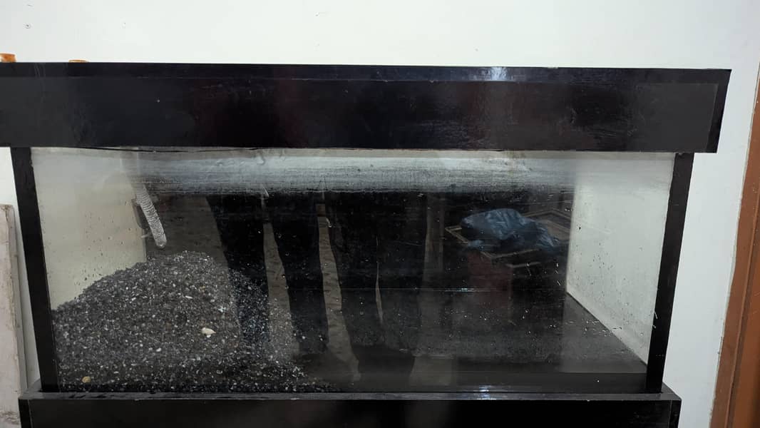 Aquarium 1
