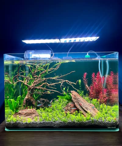 Aquarium