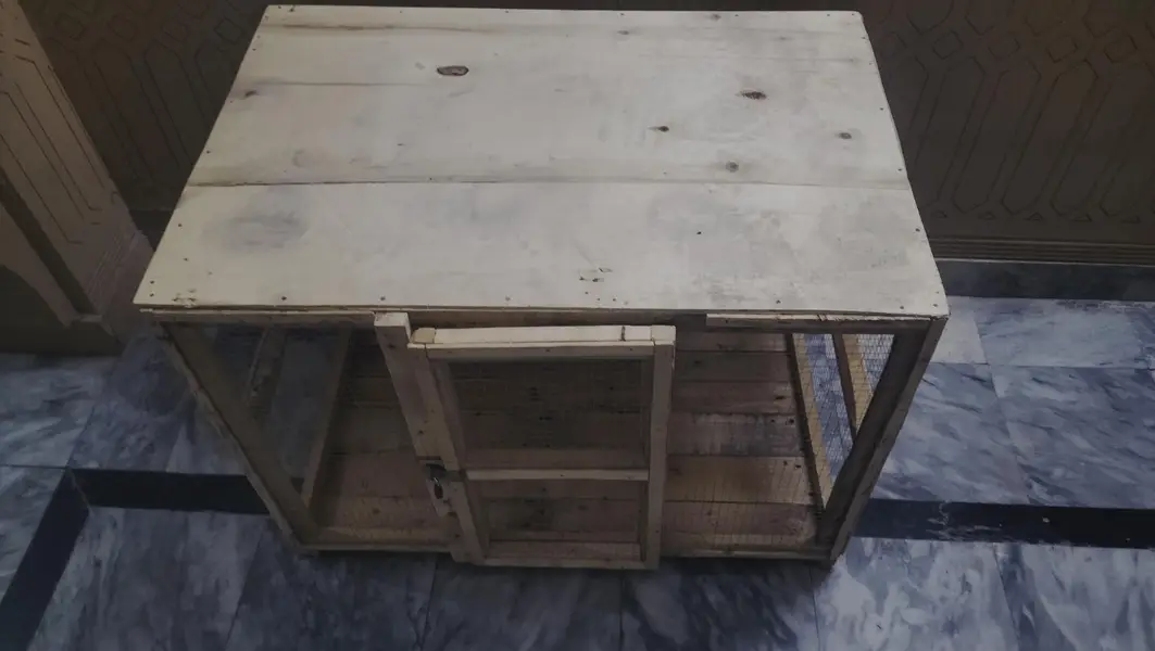 Hen cage — photo 3