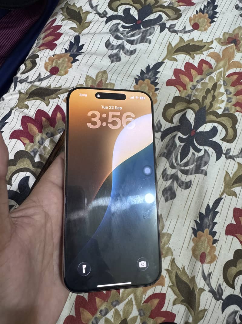 Apple iPhone 16 Pro Max 1