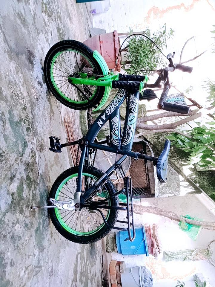 green cycle 1