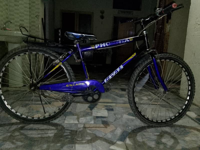 Cycle 0