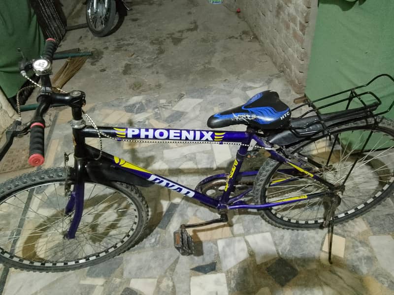 Cycle 4
