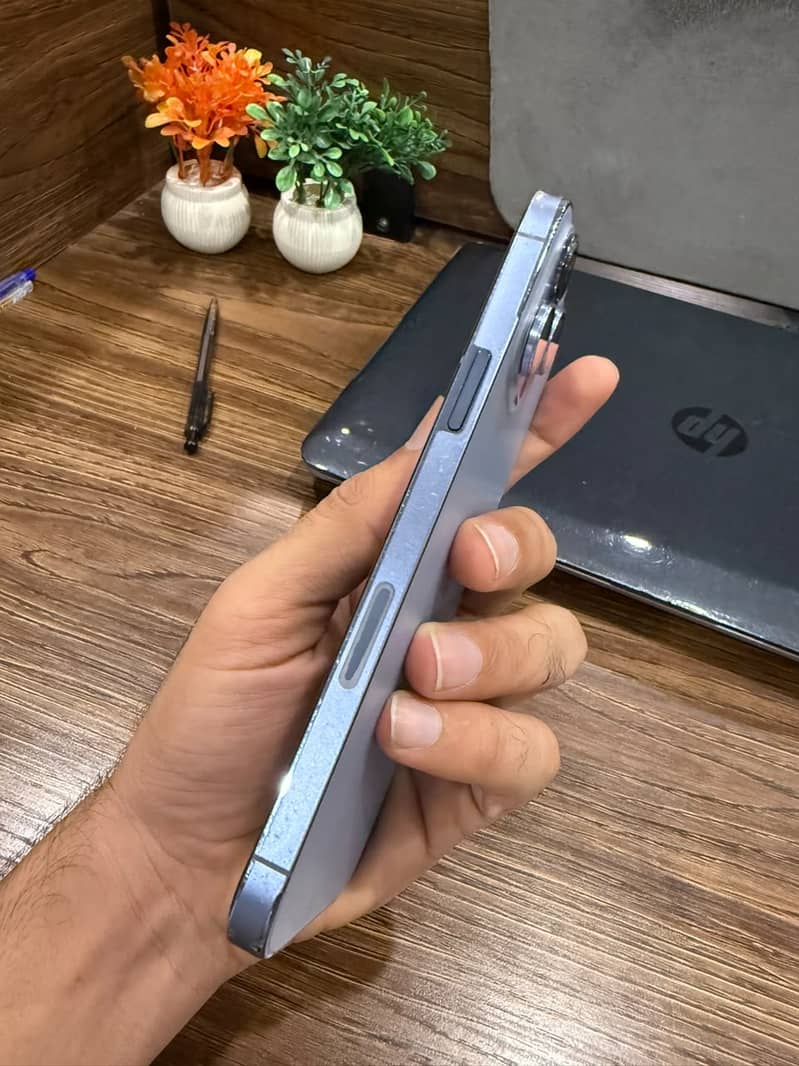 Apple iPhone 13 Pro Max 2