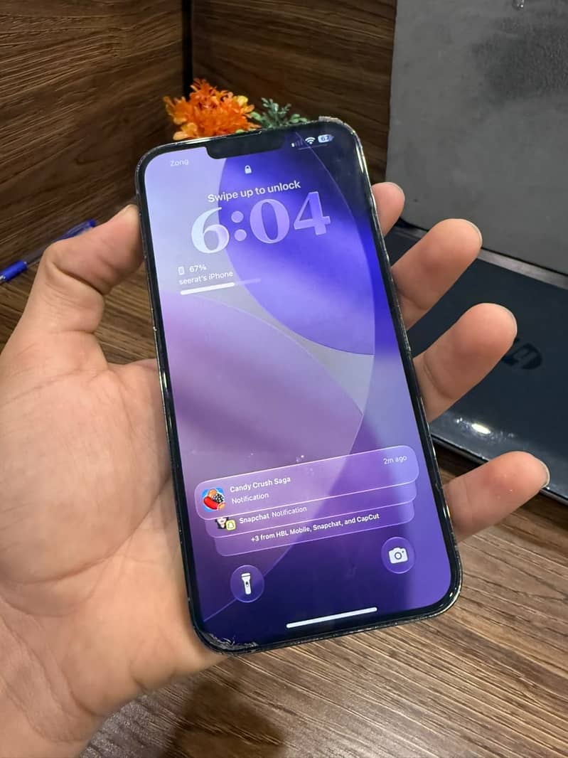 Apple iPhone 13 Pro Max 3