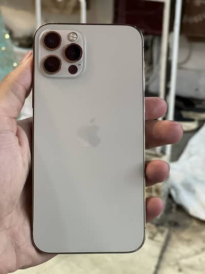 iPhone 12 Pro pta Approved