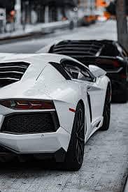 need driver job
