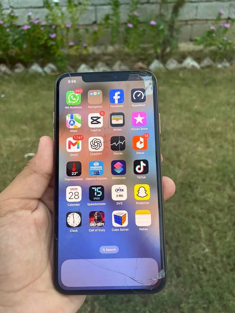 Apple iPhone XS Max 1