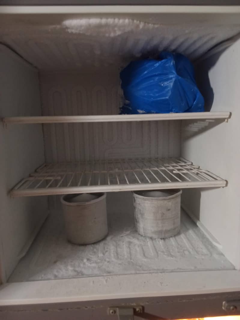 fridge 3