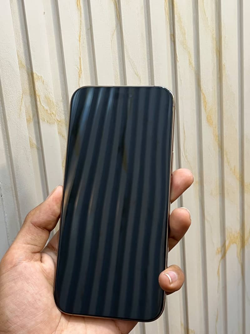 Apple iPhone 16 pro max 1
