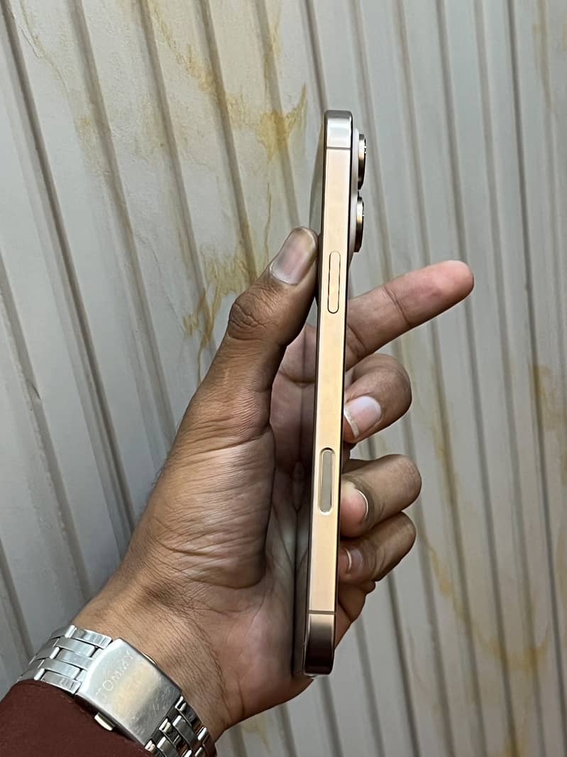 Apple iPhone 16 pro max 3