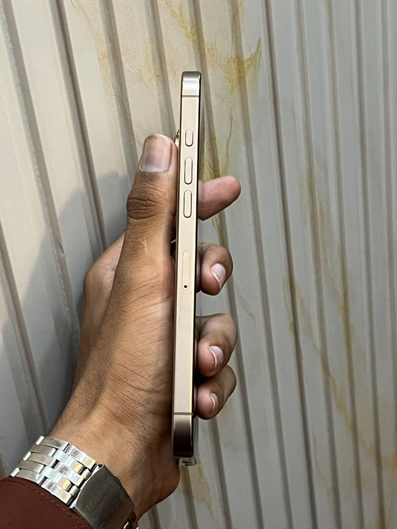 Apple iPhone 16 pro max 4