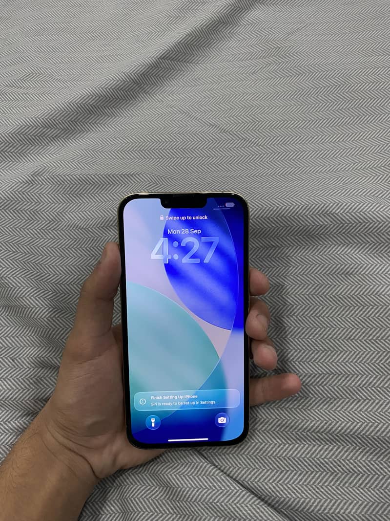 IPhone 13 Pro Max (jv) 1