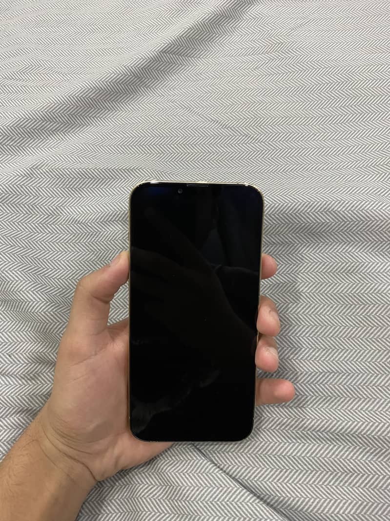 IPhone 13 Pro Max (jv) 2