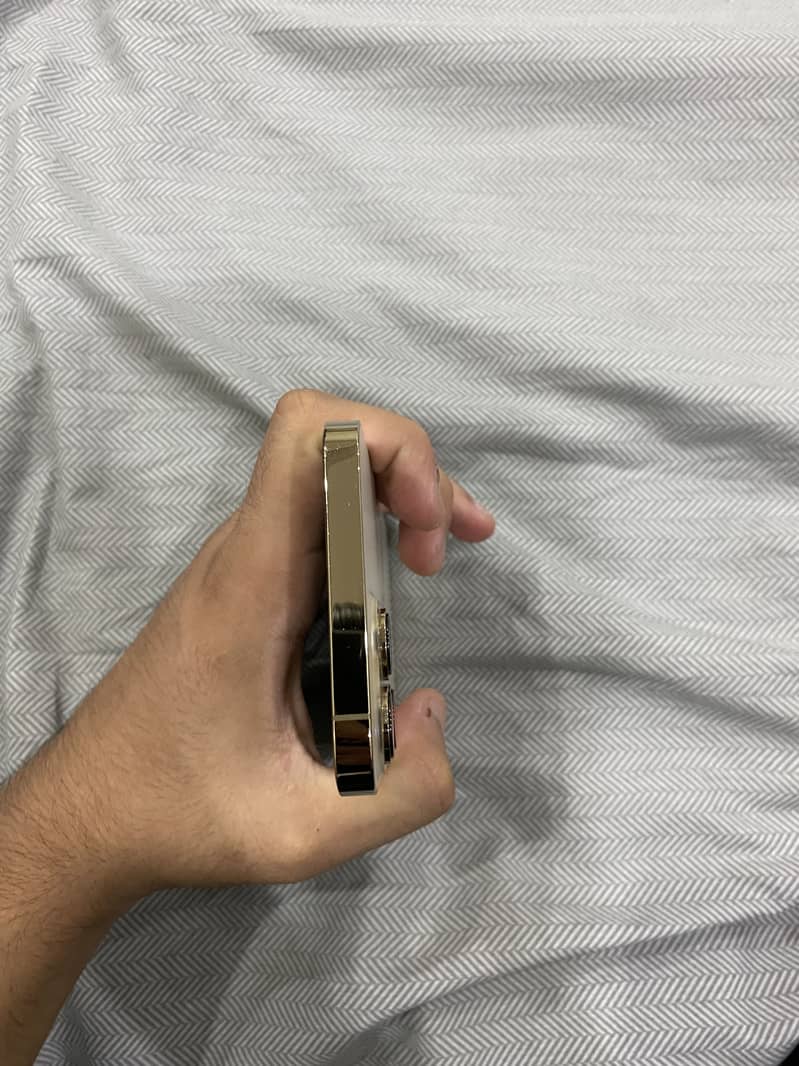 IPhone 13 Pro Max (jv) 3
