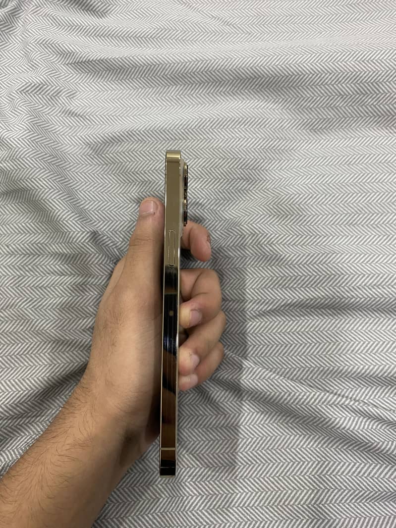 IPhone 13 Pro Max (jv) 4