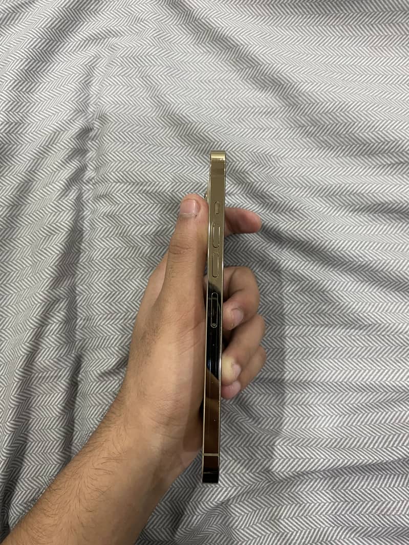 IPhone 13 Pro Max (jv) 5