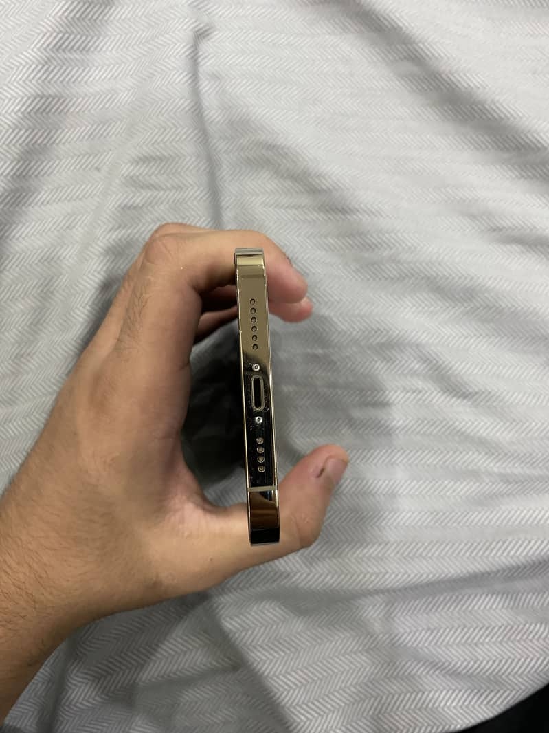 IPhone 13 Pro Max (jv) 6