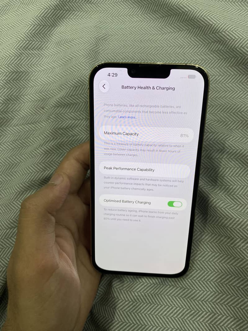 IPhone 13 Pro Max (jv) 8