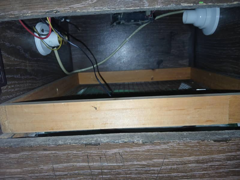 chicks egg incubator 2