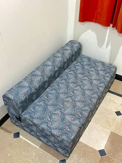 Molty Home Sofa Cum Bed