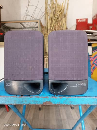 Kenwood Speaker